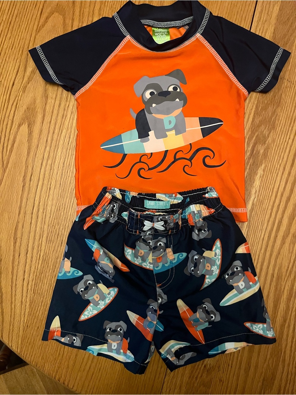 Sesame Street Boys Swim Suit 24 month